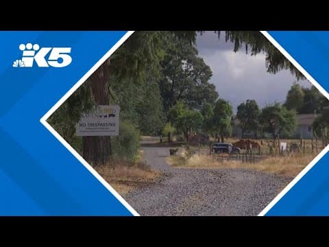 67 animals rescued as part of Thurston County cruelty investigation