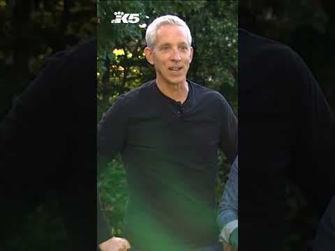 Seattle couple chases down coyote that ran off with their small dog