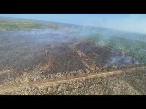 Swamp fire spreads the smell of smoke across New Orleans
