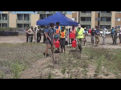 Endangered species of birds released in Mission Bay