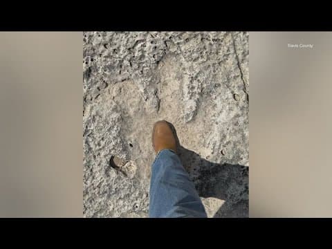 Floods unearth dinosaur tracks in Texas