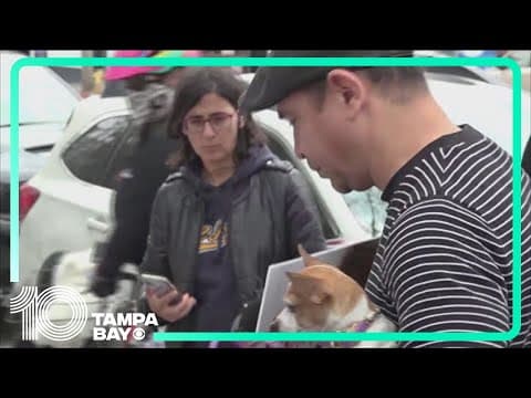 Fans put flowers on Tina Turner's star on Hollywood Walk of Fame