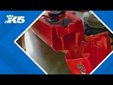 Kayak cut in two by power boat driver