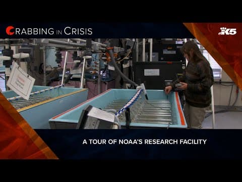 Tour of NOAA research facility with Biologist Erin Fedeway