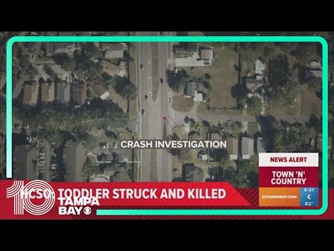 Toddler struck, killed by driver in Town 'n' Country, deputies say