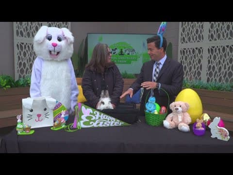 San Diego Animal Sanctuary & Farm hosts Easter Egg Hunts | April 18-20