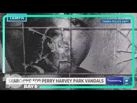 Park in Tampa honoring Black community vandalized; investigation underway