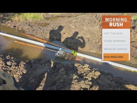 Dog rescued from construction site