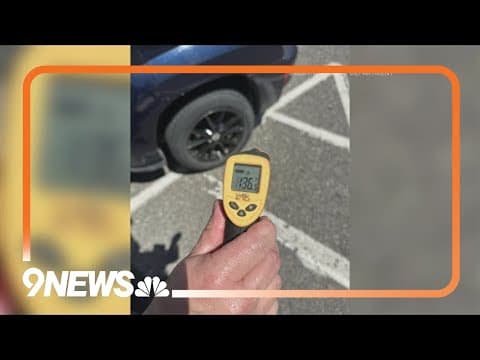 Dog dies in hot car in Brighton