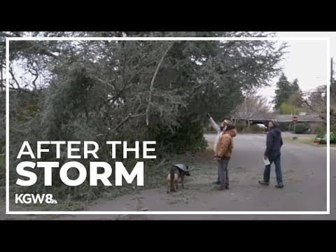 Oregonians begin to assess storm damage, look at insurance options