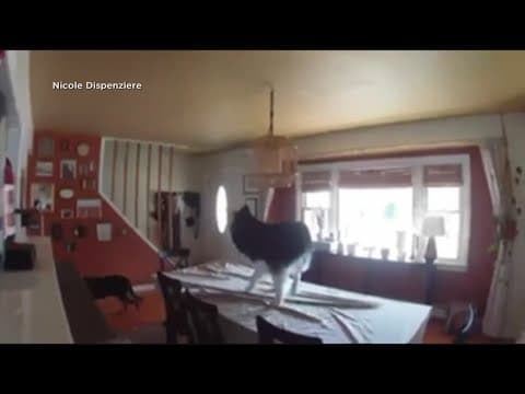 Earthquake centered near New York City rattles much of the Northeast