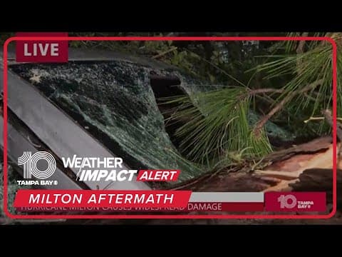 Cars damaged from downed trees in Manatee County