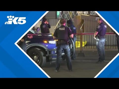 Police investigating three separate overnight shootings throughout Seattle