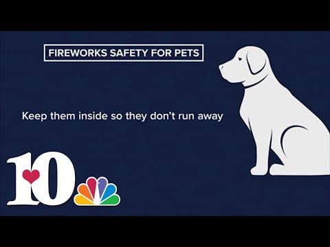 Here are a few tips on keeping pets safe while fireworks are shot off