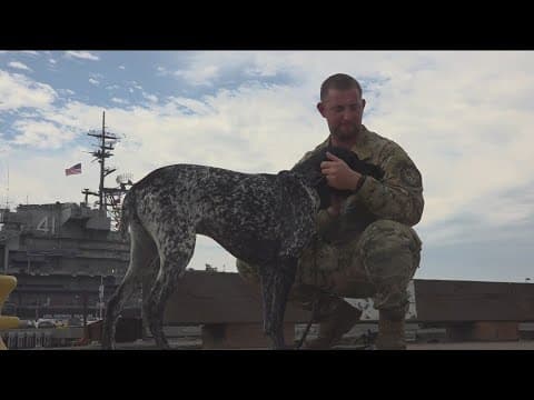 San Diego U.S. Coast Guard K-9 finalist in American Hero Dog Awards
