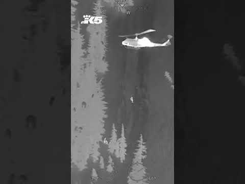 Skier who fell 1,000 feet near Stevens Pass rescued by chopper crew #news #winter