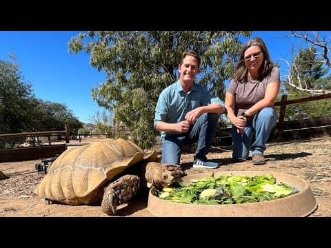 'Organic Garden' in Alpine fights inflation by feeding rescued animals in need