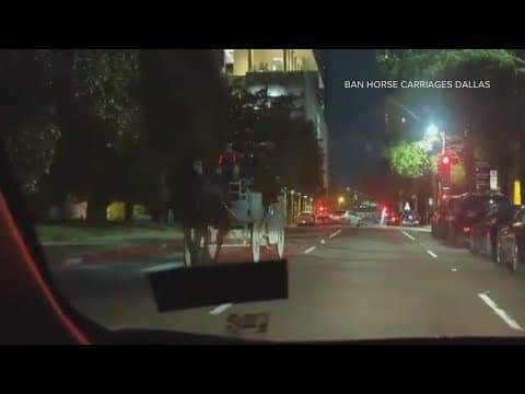 Texas city to vote on banning horse-drawn carriages