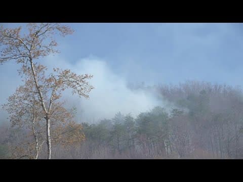 Fire crews on scene of 120-acre wildfire in Anderson Co., 40% contained