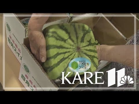 Farmer in Japan grows square watermelons