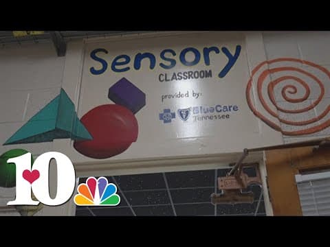 New sensory room unveiled at Pleasant Ridge Elementary School