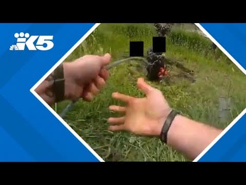 Pierce County deputies use lasso to arrest man with chainsaw in new body camera video
