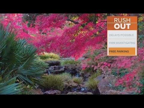 Fort Worth Botanic Garden offering free admission today