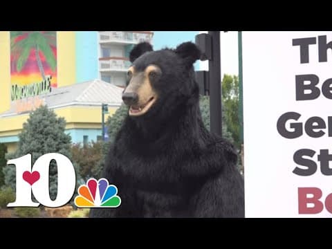 PETA supporters cited for unpermitted 'ornate object' while protesting Three Bears General Store