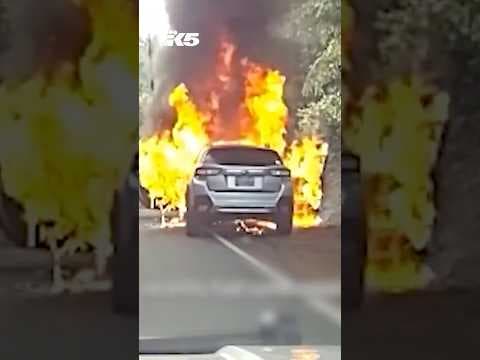 Kitsap Co. deputy saves man and dog from burning car