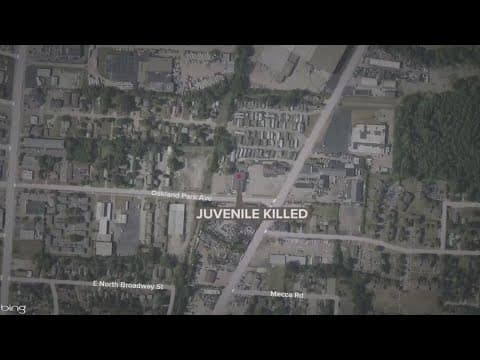 Juvenile dead after being hit by car in Clinton Township