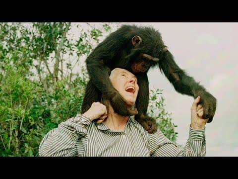 Dr. Jane Goodall, chimpanzee researcher and climate activist, dies at 91
