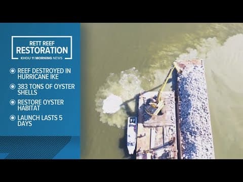 383 tons of oyster shells to go toward Galveston bay reef restoration project