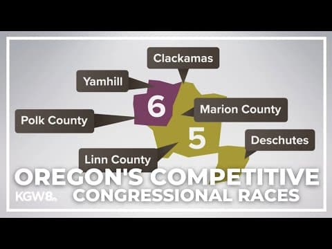 Political science professor weighs in on competitive congressional races