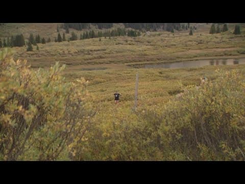 Latest Headlines | New data shows less people are hiking Colorado 14ers