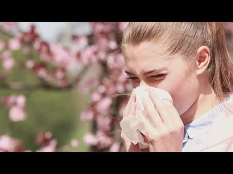 Dallas among cities with worst allergies, new report shows. Here's what to know