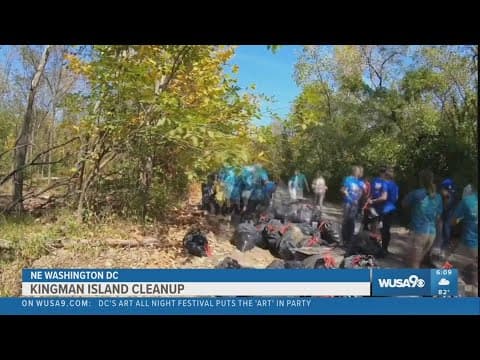 Volunteers say they removed over 2,000 lbs. of trash from DC's Kingman Island