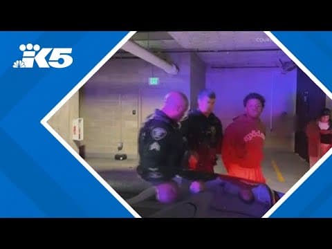 'Belltown Hellcat' arrested in Seattle on $50,000 Renton warrant