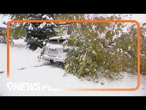 Wet, heavy snow knocks down tree branches in east Denver