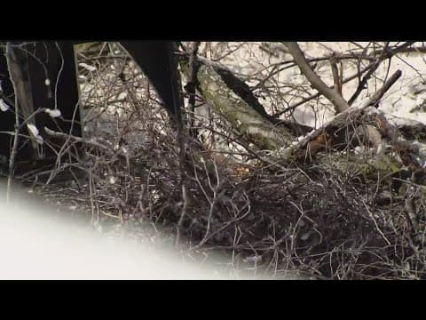 Heavy overnight snow leads to power outages, cancelled flights and crashes