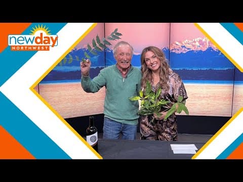 Killer vines and plants that need shade? Let’s just Ask Ciscoe! - New Day NW