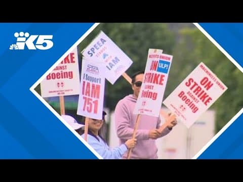 Thousands of Boeing union members on strike, picketing outside company's factories