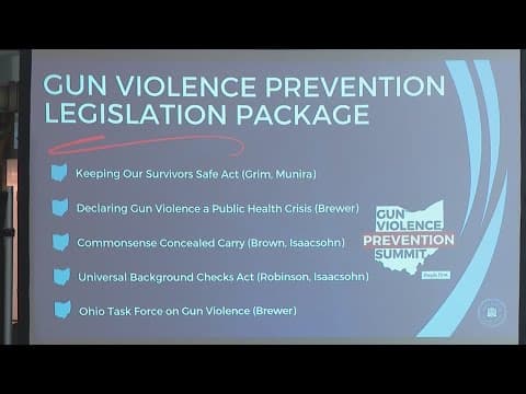 Legislation to tackle gun violence introduced by Ohio Democrats at Gun Violence Prevention Summit