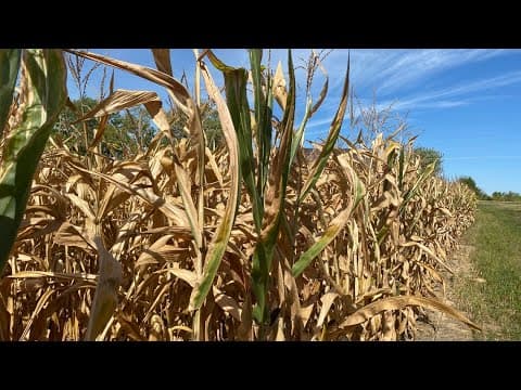 Some central Ohio counties reach highest drought level