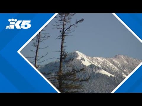 North Bend rallies to aid residents amid wind and cold advisories