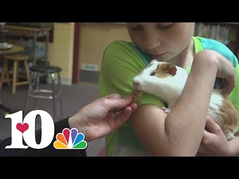 Library pet 'Dumbledorable' spreading joy to elementary school students in Maine