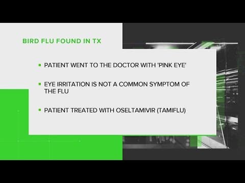 Texas reports its first human case of bird flu