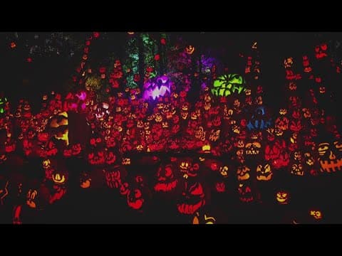 Pumpkin exhibit in Minnesota showcases unique jack-o'-lantern designs