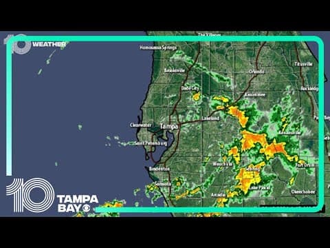 LIVE RADAR: Showers and storms move through the Tampa Bay area