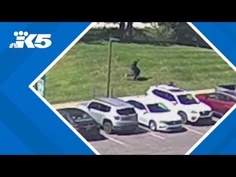 BREAKING: President Trump reports Charlie Kirk murder suspect has been arrested