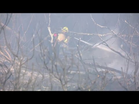 San Diego City Council discusses 2025 fire season, encampment fires